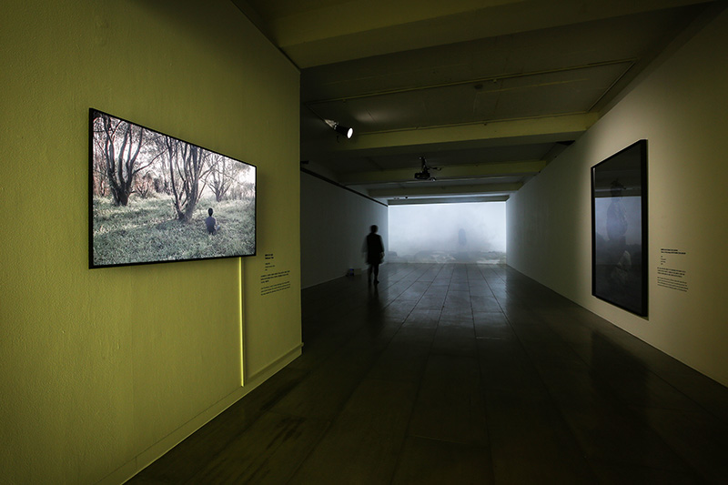 installation view